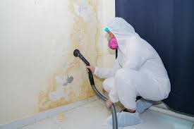 Environmental Consulting for Mold Prevention in Thousand Oaks, CA